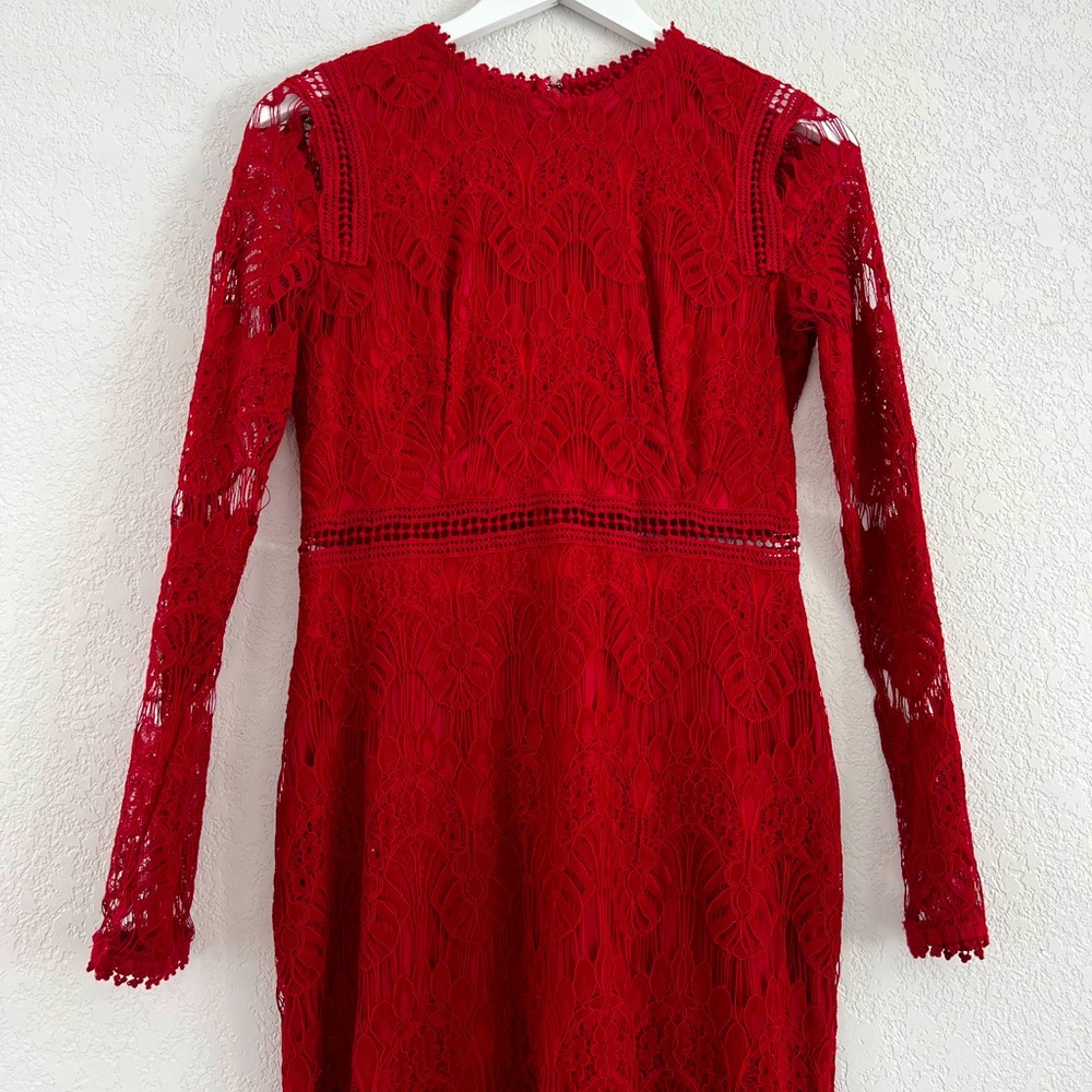 Bodycon lace dress